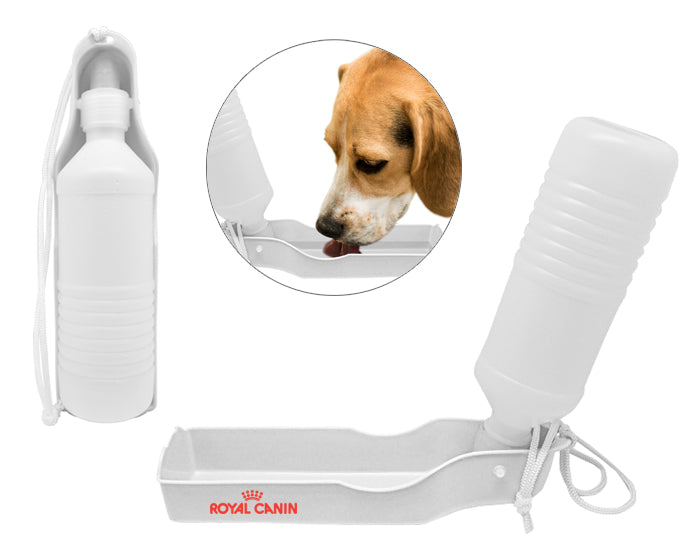 BOTELLA FLOW PET