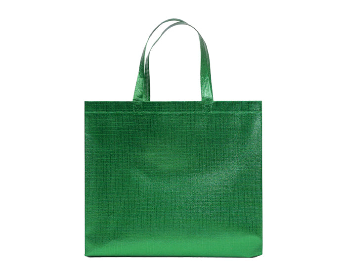 BOLSA GLEAM
