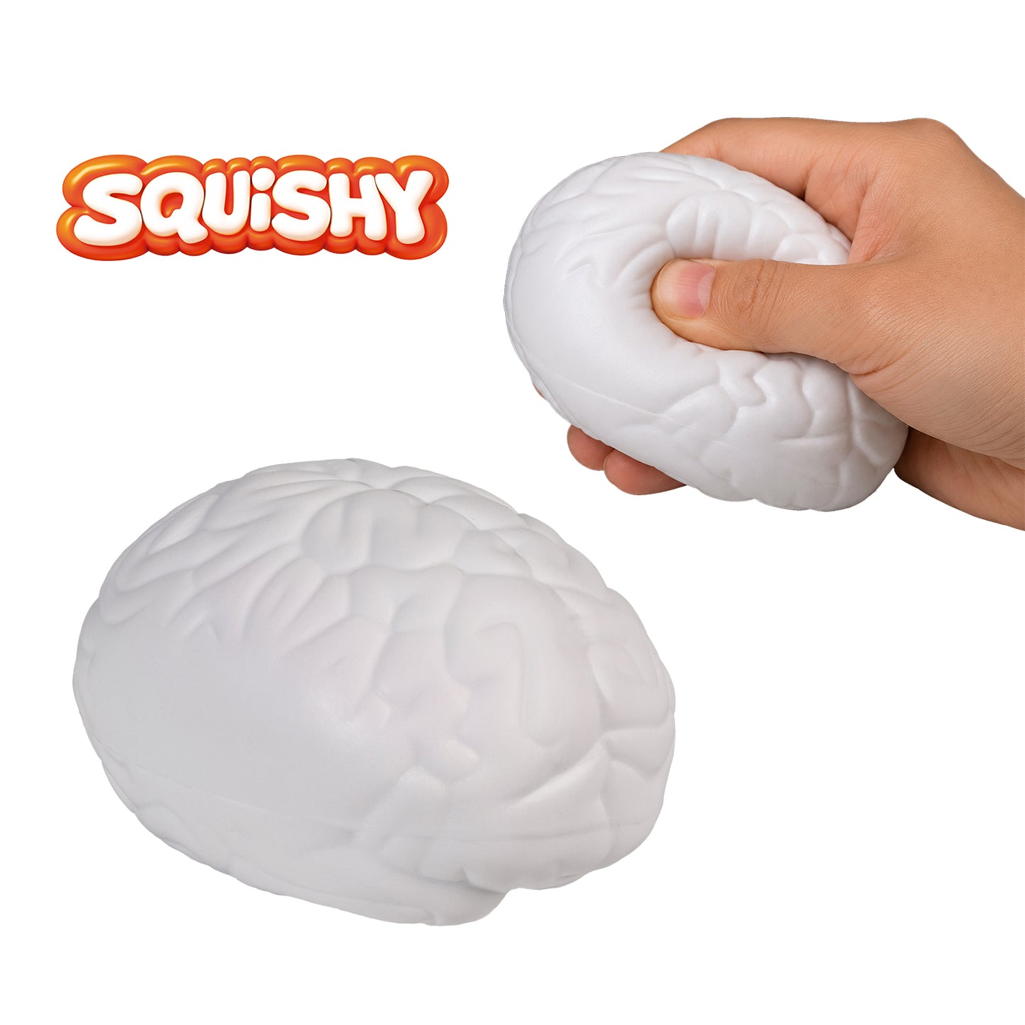 SQUISHY CEREBRO
