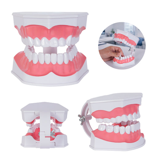 MODELO ODONTO