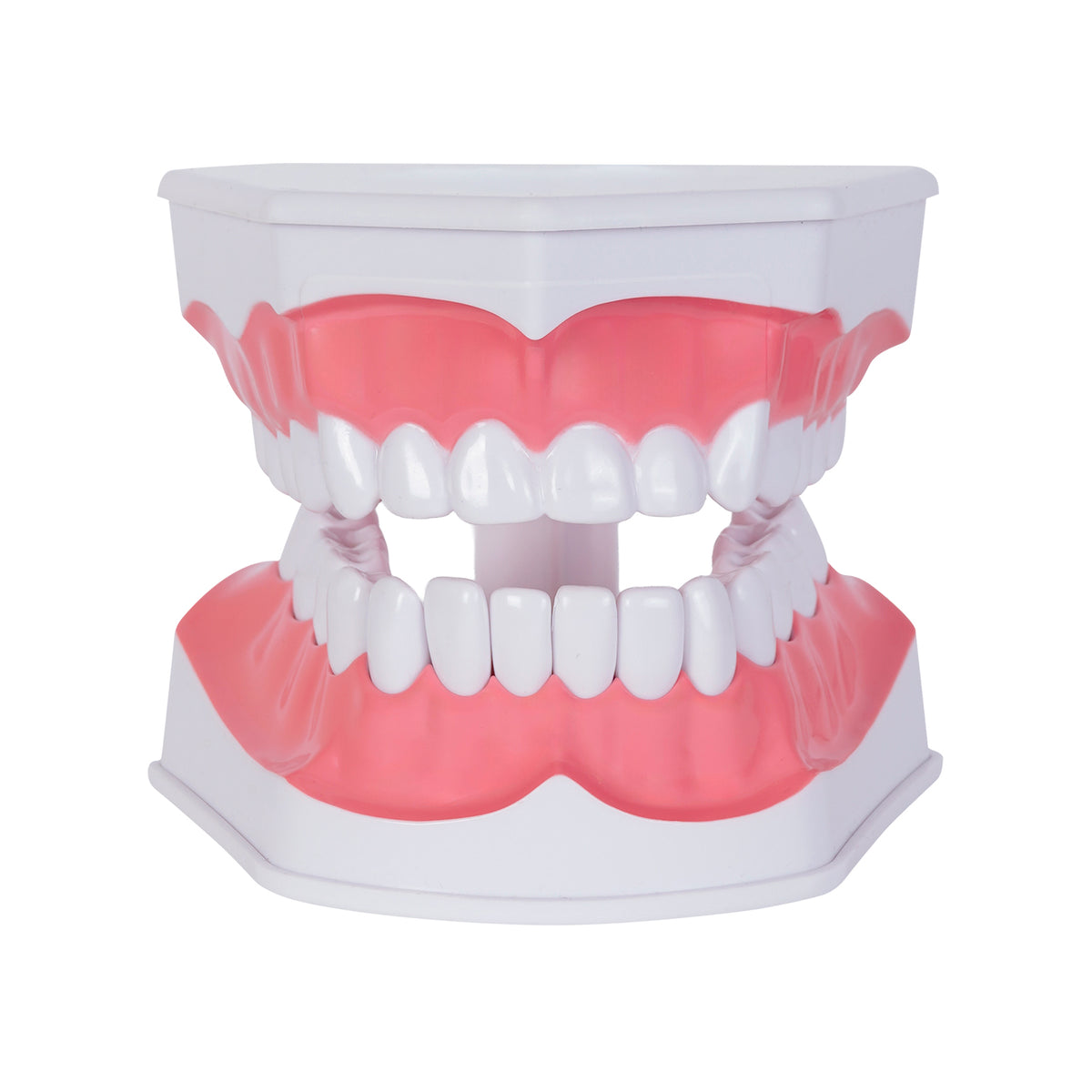 MODELO ODONTO