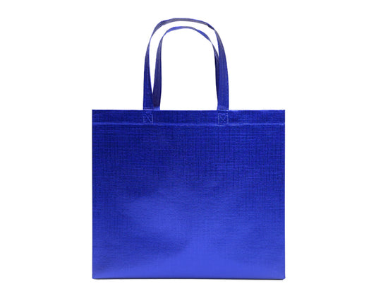 BOLSA GLEAM