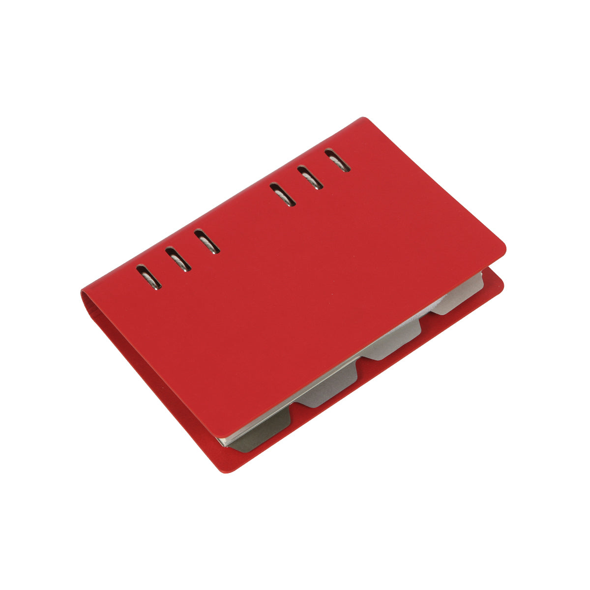 CARPETA MUSAID
