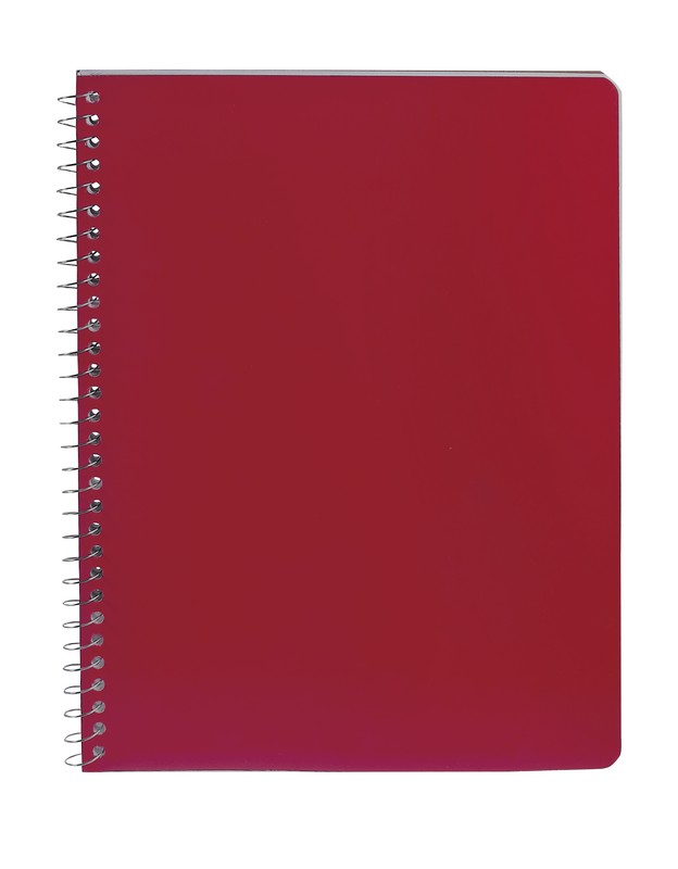 CUADERNO PROFESIONAL