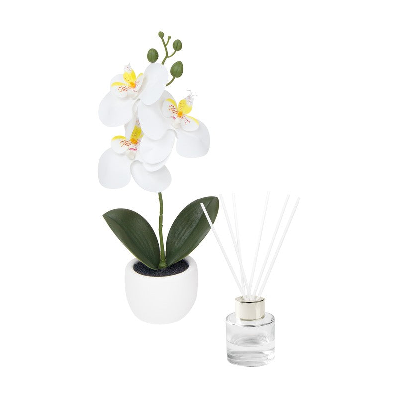 SET DECORATIVO FIORA