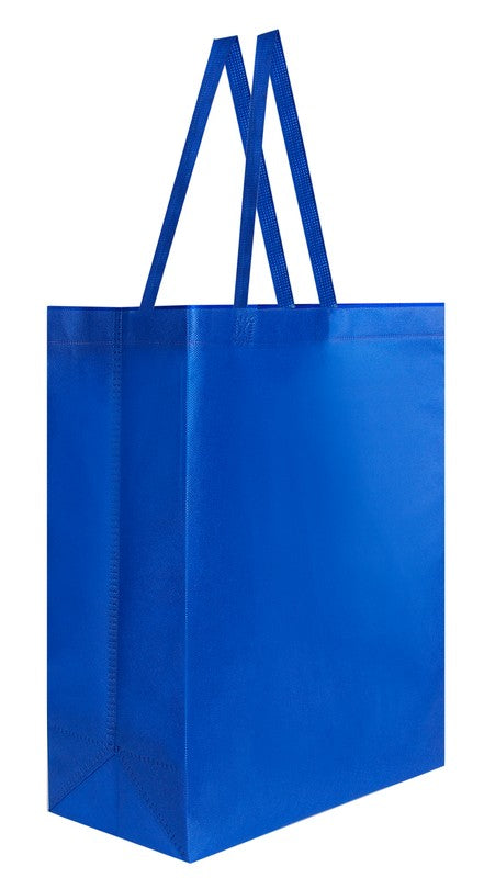 BOLSA VIDYA