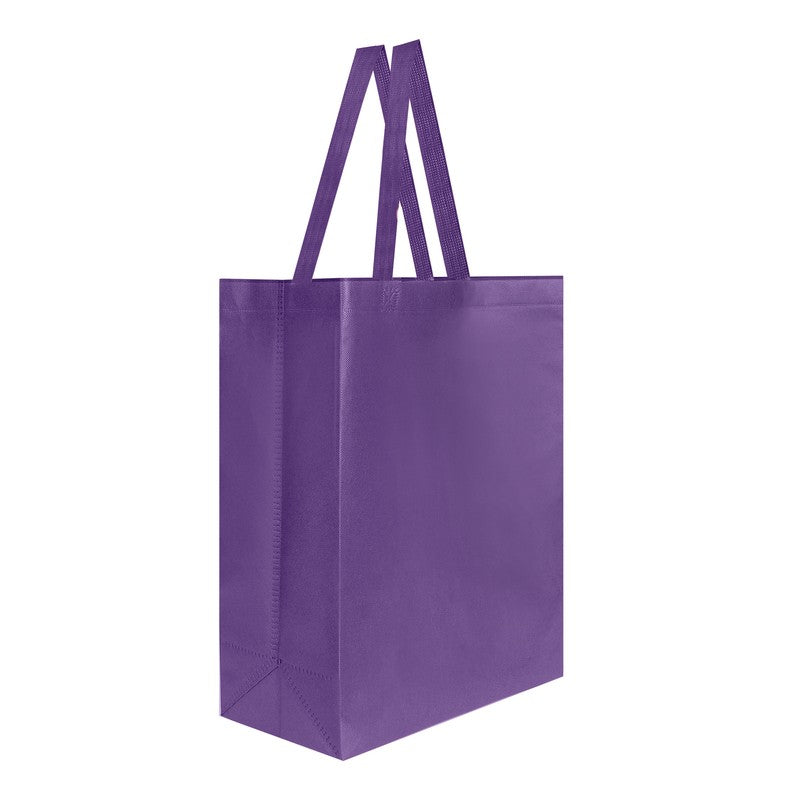 BOLSA VIDYA