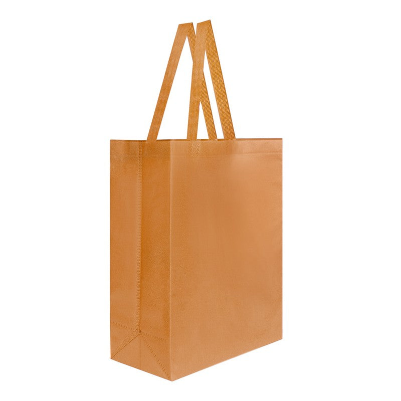BOLSA VIDYA