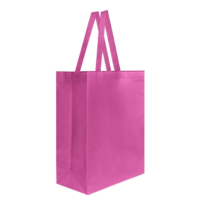 BOLSA VIDYA