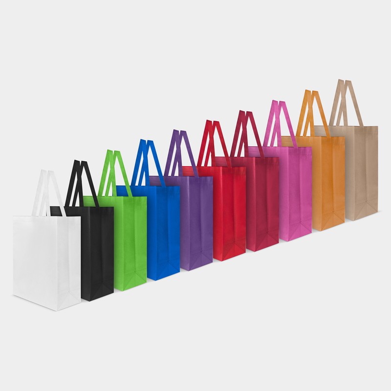 BOLSA VIDYA