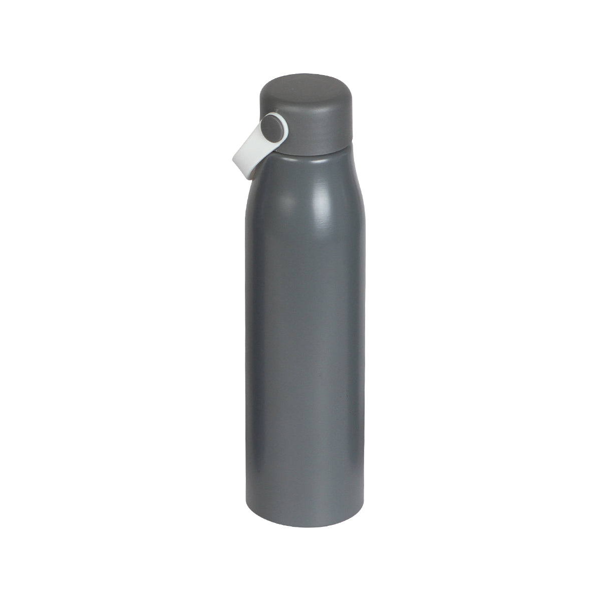 BOTELLA VIDIN