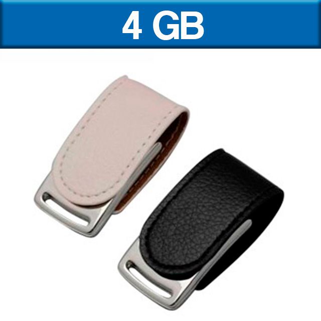USB CLIP 4GB