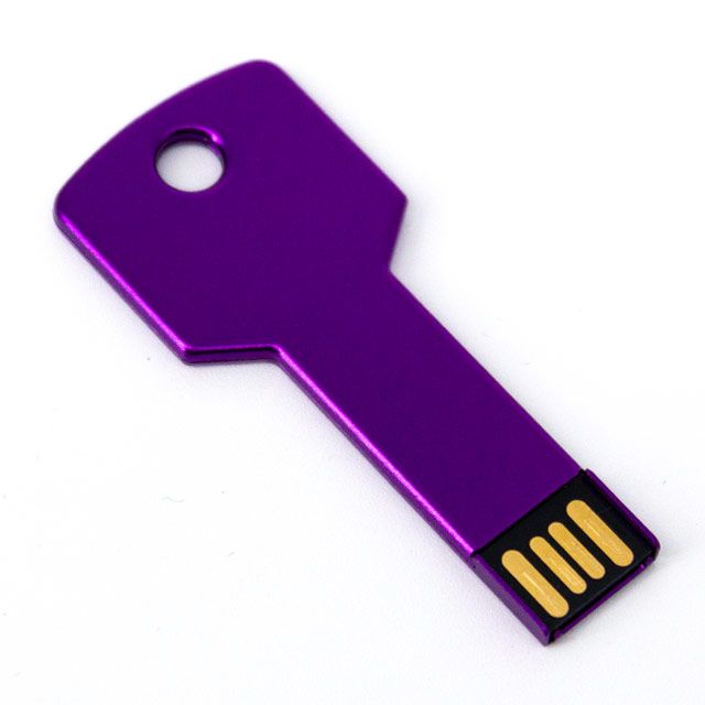 USB LLAVE TRADICIONAL 8GB