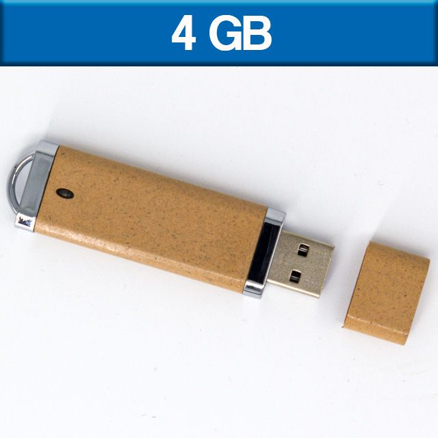 USB LUXURY-ECO 4GB