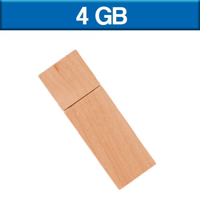 USB MAPLE 4GB