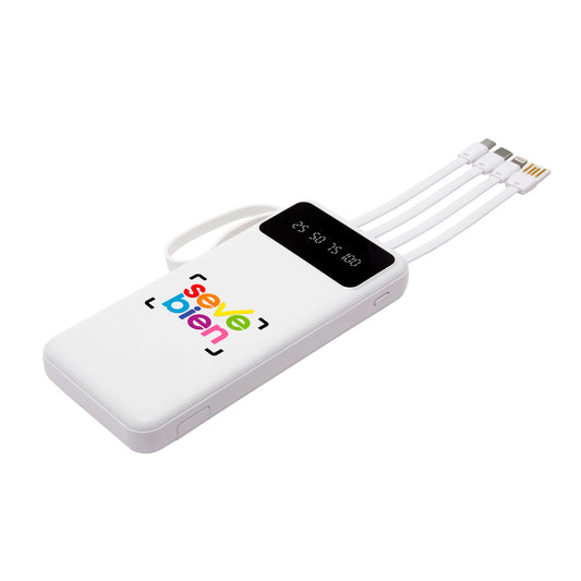 POWER BANK MICHIGAN
