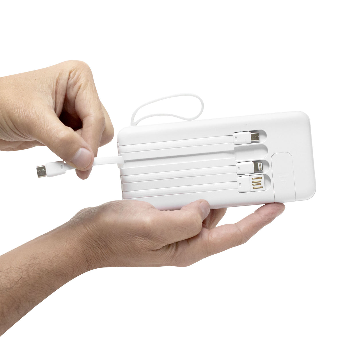POWER BANK MICHIGAN